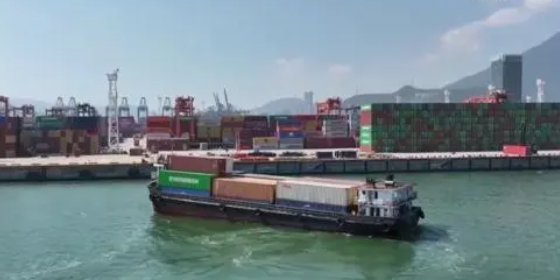 国内海运，内贸集装箱海运收费全解析！